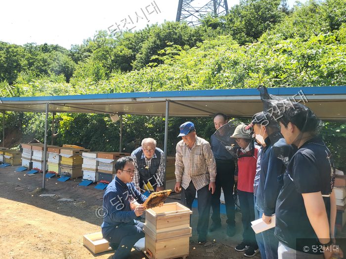 농업기술센터 관계자와 농민들이 양봉 시범사업 현장을 살펴보고 있다.