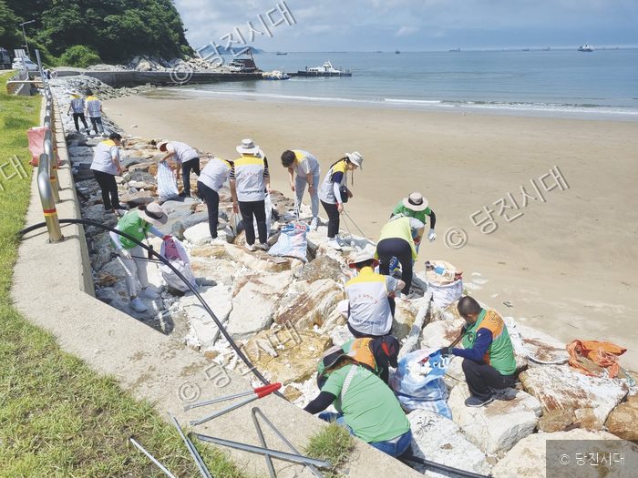 주민과 직원들이 대난지도에서 쓰레기를 줍는 환경정화 봉사활동을 하고 있다.