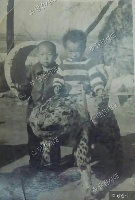 "딸 같은 둘째 아들 종희"