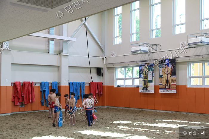 [체육부 탐방] 기지초등학교 씨름부
